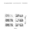 EVALUATION AND IMPROVEMENT OF NUCLEASE CLEAVAGE SPECIFICITY diagram and image