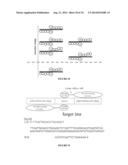 EVALUATION AND IMPROVEMENT OF NUCLEASE CLEAVAGE SPECIFICITY diagram and image