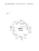 ALBUMIN VARIANTS diagram and image