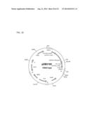 ALBUMIN VARIANTS diagram and image