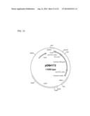 ALBUMIN VARIANTS diagram and image