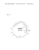 ALBUMIN VARIANTS diagram and image