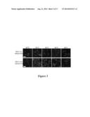 SOLUBLE POLYPEPTIDES diagram and image