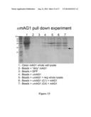 SOLUBLE POLYPEPTIDES diagram and image