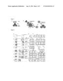 VACCIBODIES TARGETED TO CROSS-PRESENTING DENDRITIC CELLS diagram and image