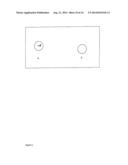 TUMOR SPECIFIC OLIGOSACCHARIDE EPITOPES AND USE THEREOF diagram and image