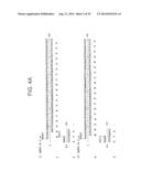 PEPTIDES AND RELATED MOLECULES THAT BIND TO TALL-1 diagram and image