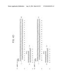 PEPTIDES AND RELATED MOLECULES THAT BIND TO TALL-1 diagram and image