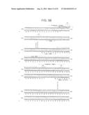 PEPTIDES AND RELATED MOLECULES THAT BIND TO TALL-1 diagram and image