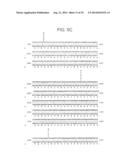 PEPTIDES AND RELATED MOLECULES THAT BIND TO TALL-1 diagram and image