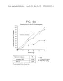 PEPTIDES AND RELATED MOLECULES THAT BIND TO TALL-1 diagram and image