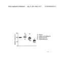 PEPTIDE OR ARRANGEMENT OF PEPTIDES FORMING A STAPHYLOCOCCUS AUREUS EPITOPE     BINDING SITE diagram and image