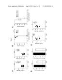 NKP46-MEDIATED NK CELL TUNING diagram and image