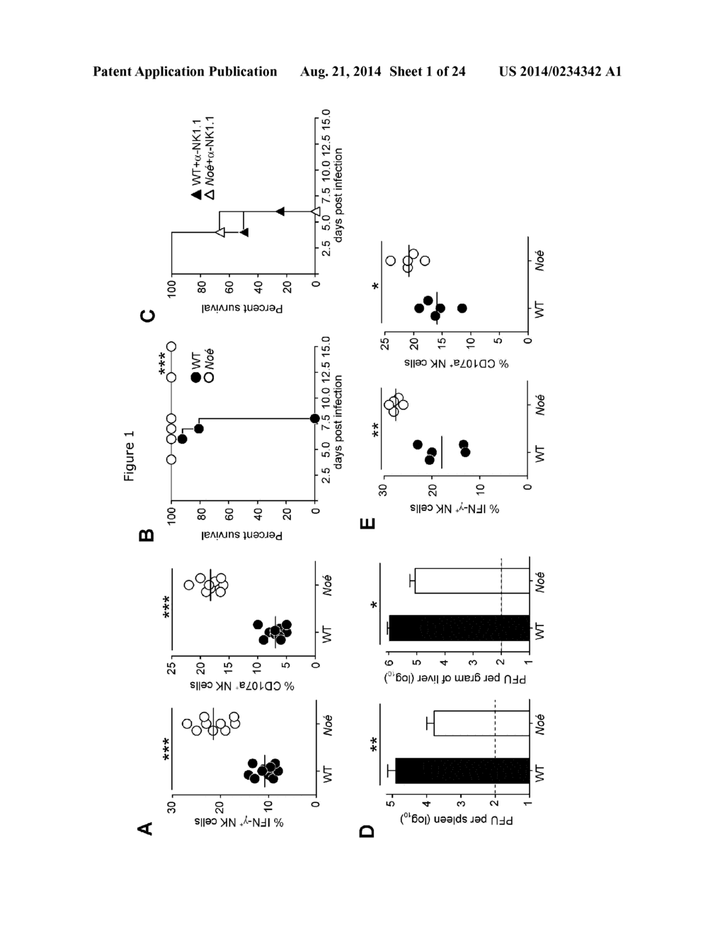 NKP46-MEDIATED NK CELL TUNING - diagram, schematic, and image 02