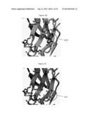 NKP46-MEDIATED NK CELL TUNING diagram and image