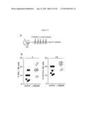 NKP46-MEDIATED NK CELL TUNING diagram and image