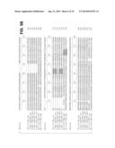 INFECTIOUS CLONES OF TORQUE TENO VIRUS diagram and image