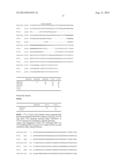 INFECTIOUS CLONES OF TORQUE TENO VIRUS diagram and image