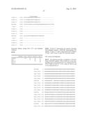 INFECTIOUS CLONES OF TORQUE TENO VIRUS diagram and image