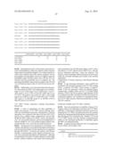 INFECTIOUS CLONES OF TORQUE TENO VIRUS diagram and image