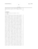 INFECTIOUS CLONES OF TORQUE TENO VIRUS diagram and image