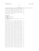 INFECTIOUS CLONES OF TORQUE TENO VIRUS diagram and image