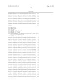 INFECTIOUS CLONES OF TORQUE TENO VIRUS diagram and image