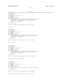 INFECTIOUS CLONES OF TORQUE TENO VIRUS diagram and image