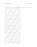 INFECTIOUS CLONES OF TORQUE TENO VIRUS diagram and image