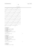 INFECTIOUS CLONES OF TORQUE TENO VIRUS diagram and image