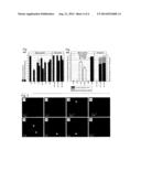 Targeted Lipid-Drug Formulations for Delivery of Drugs to Myeloid and     Lymphoid Immune Cells diagram and image