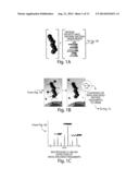 METHODS AND PRODUCTS FOR IN VIVO ENZYME PROFILING diagram and image