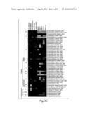 METHODS AND PRODUCTS FOR IN VIVO ENZYME PROFILING diagram and image