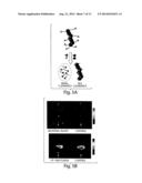 METHODS AND PRODUCTS FOR IN VIVO ENZYME PROFILING diagram and image