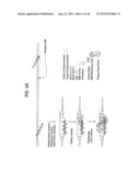 Recombinase Polymerase Amplification diagram and image