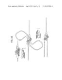 Recombinase Polymerase Amplification diagram and image