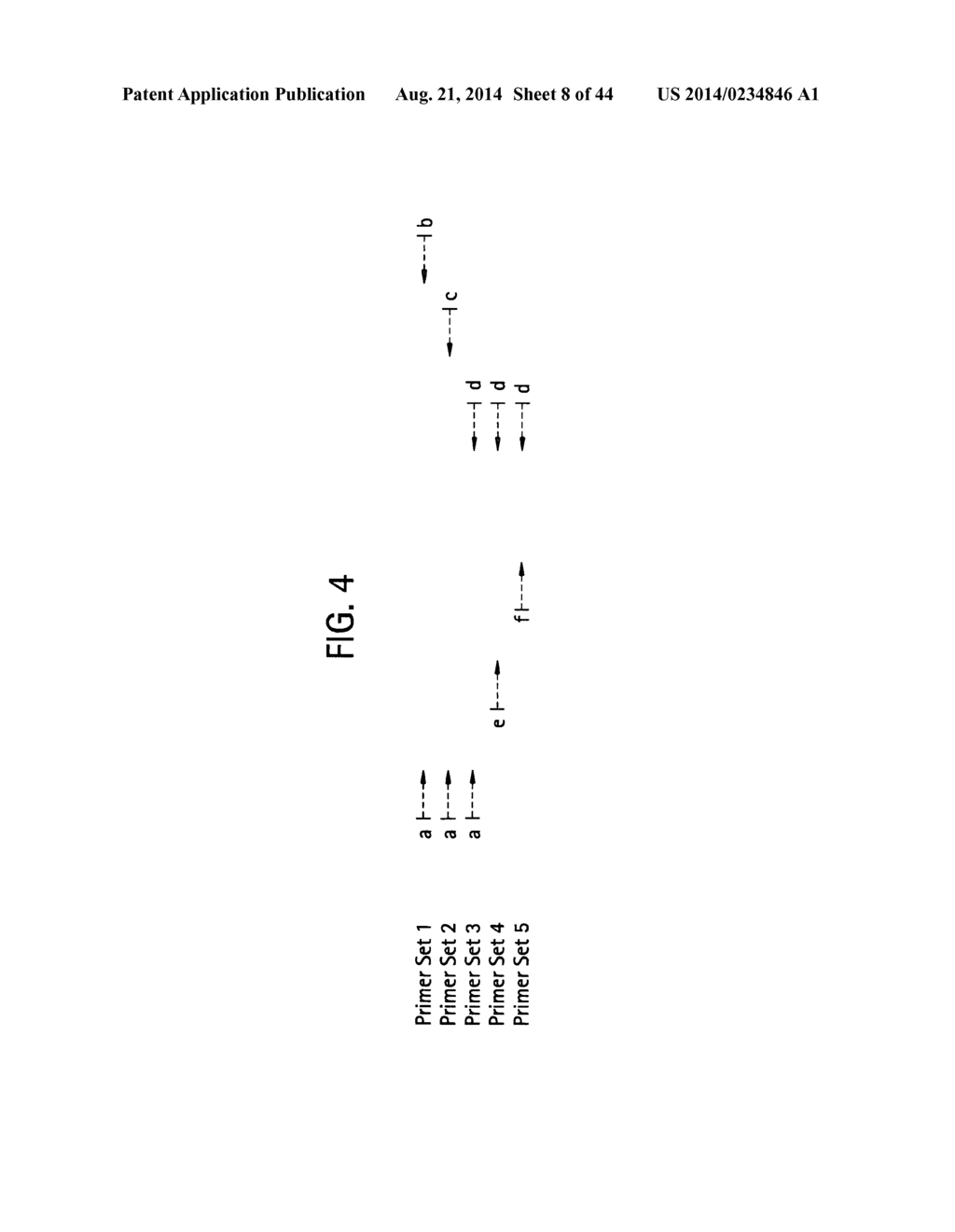Recombinase Polymerase Amplification - diagram, schematic, and image 09