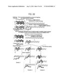 Recombinase Polymerase Amplification diagram and image