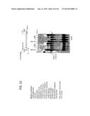 Recombinase Polymerase Amplification diagram and image