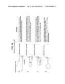 Recombinase Polymerase Amplification diagram and image