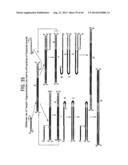 Recombinase Polymerase Amplification diagram and image