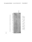 OLIGONUCLEOTIDE SEQUENCES THAT IDENTIFY SPECIES OF ANIMAL diagram and image