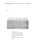 OLIGONUCLEOTIDE SEQUENCES THAT IDENTIFY SPECIES OF ANIMAL diagram and image