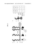 MODULAR EXTRACELLULAR SENSOR ARCHITECTURE FOR CELL-BASED BIOSENSORS diagram and image