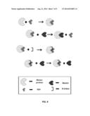 CHROMOPHORE COMPOSITIONS AND METHODS OF MAKING AND USING THE SAME diagram and image