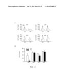 USE FOR GLYCOLIPOPROTEIN GINTONIN, ISOLATED AND IDENTIFIED FROM GINSENG,     AS A NATURAL MEDICAL-PLANT DERIVED LIGAND diagram and image