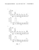 USE FOR GLYCOLIPOPROTEIN GINTONIN, ISOLATED AND IDENTIFIED FROM GINSENG,     AS A NATURAL MEDICAL-PLANT DERIVED LIGAND diagram and image