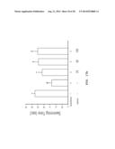 USE FOR GLYCOLIPOPROTEIN GINTONIN, ISOLATED AND IDENTIFIED FROM GINSENG,     AS A NATURAL MEDICAL-PLANT DERIVED LIGAND diagram and image