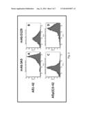 METHOD FOR DETECTING A BETA-SPECIFIC ANTIBODIES IN A BIOLOGICAL SAMPLE diagram and image