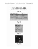 METHODS OF DETECTION OF CANCER USING PEPTIDE PROFILES diagram and image